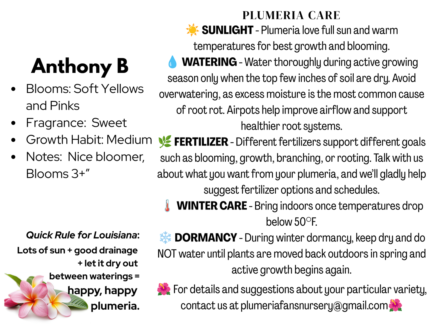 Anthony B Plumeria