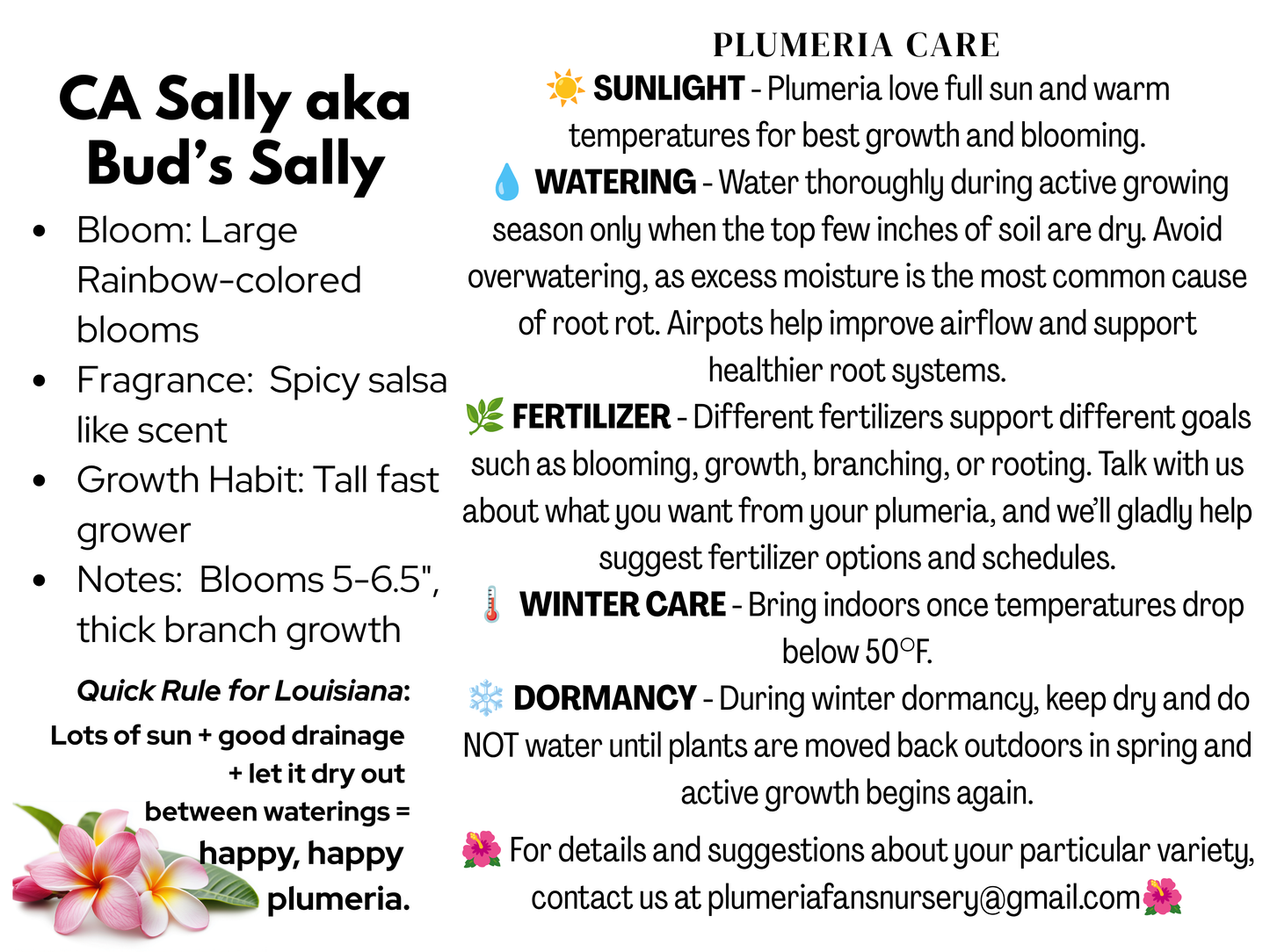 CA Sally akak Bud's Sally Plumeria