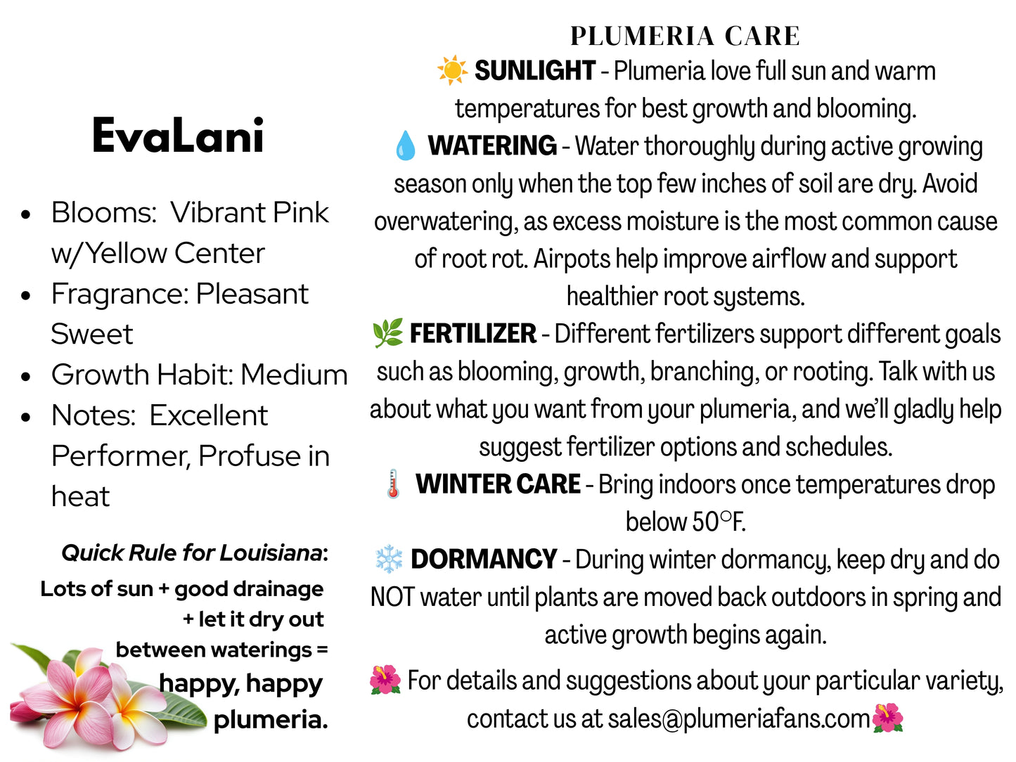 EvaLani Plumeria