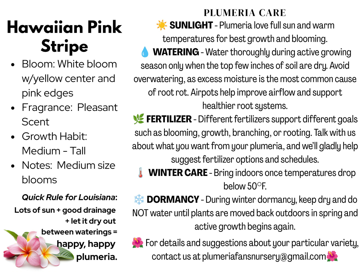 Hawaiian Pink Stripe Plumeria