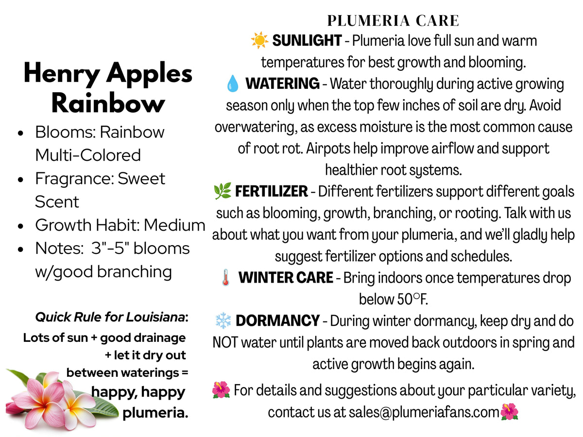Henry Apples Rainbow Plumeria