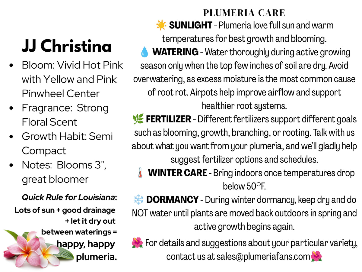 JJ Christina Plumeria