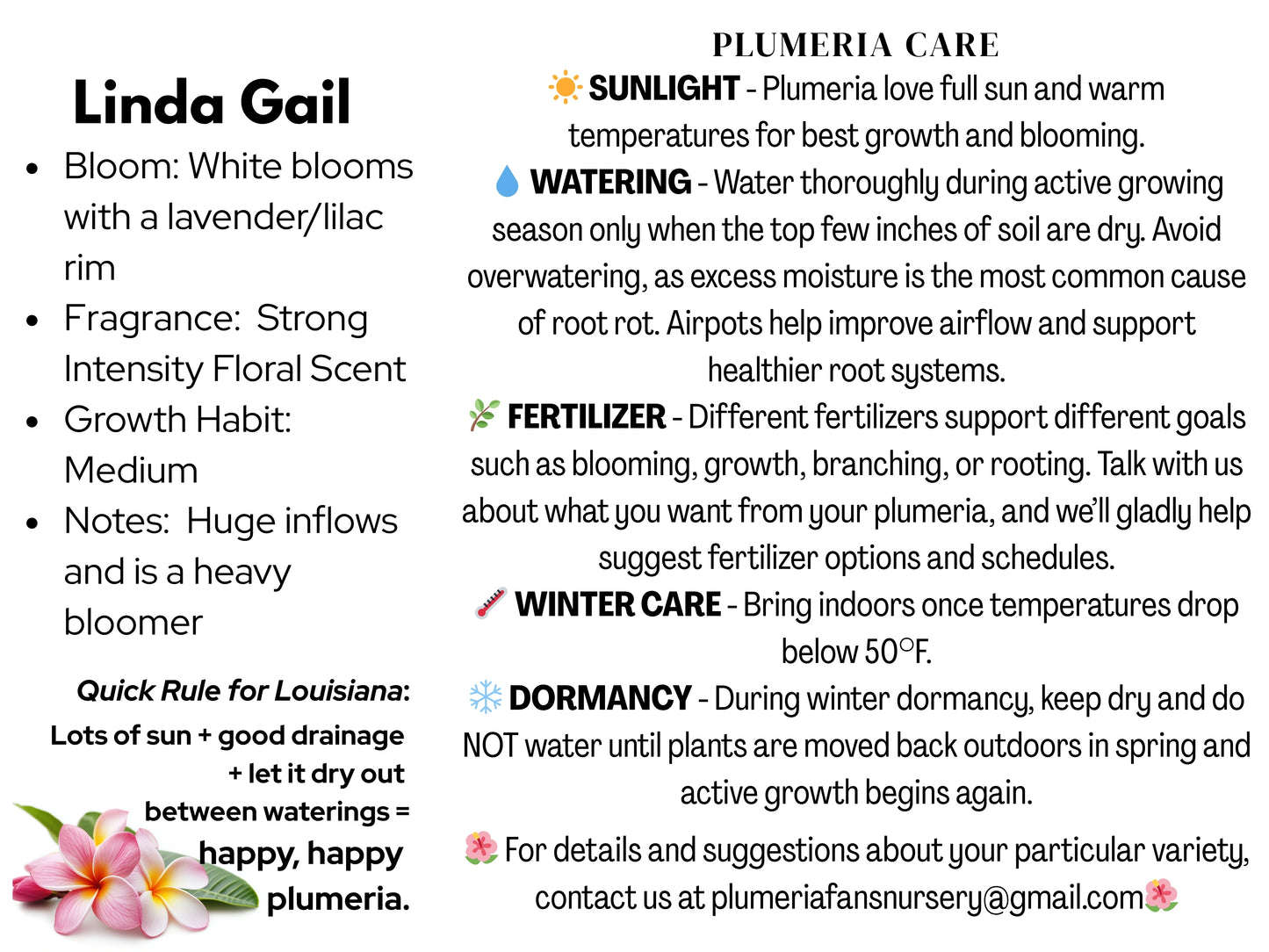 Linda Gail Plumeria