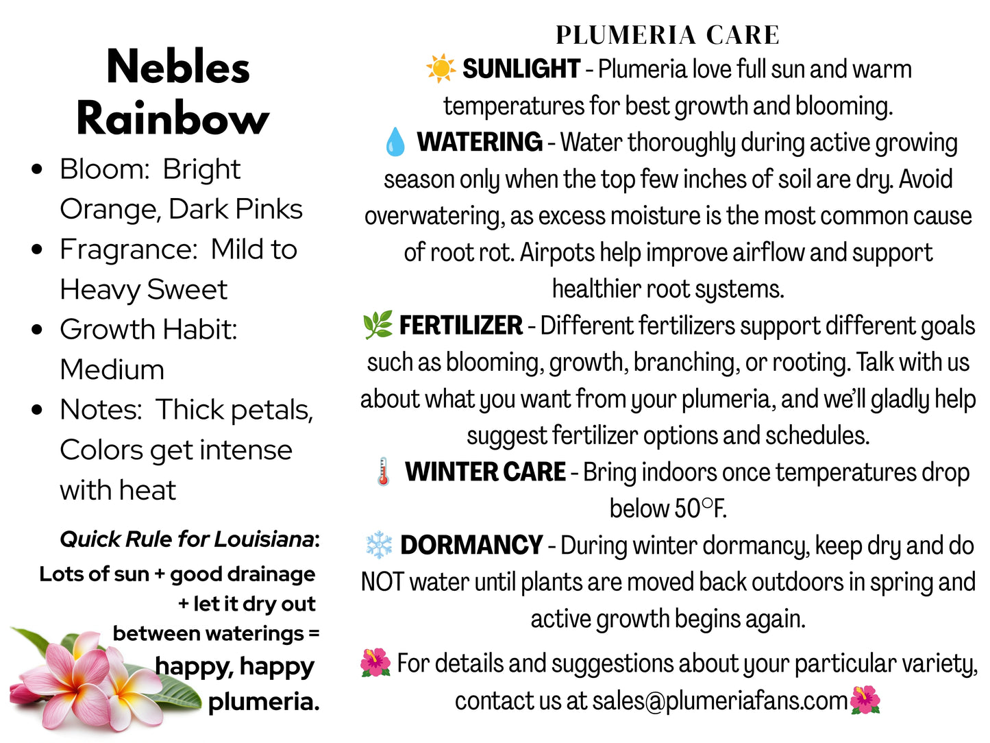 Nebles Rainbow Plumeria