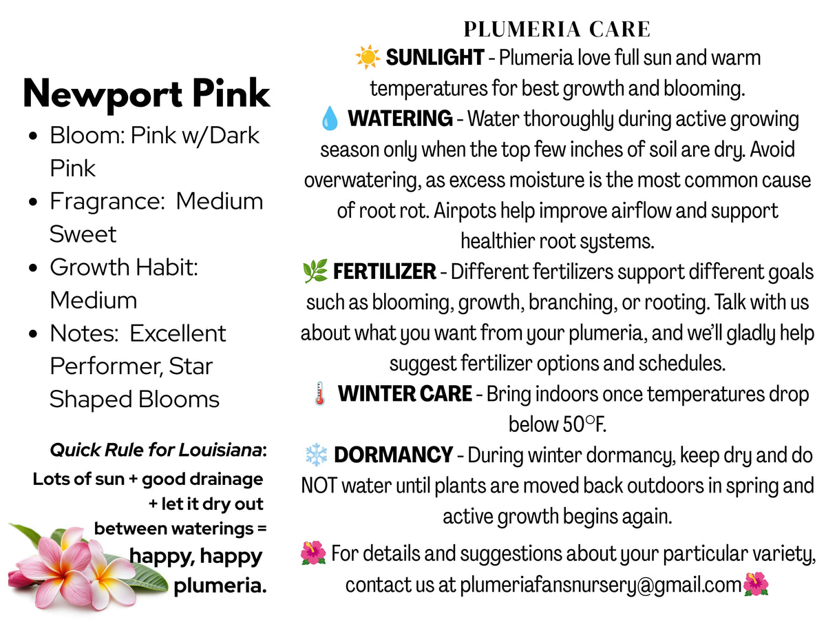 Newport Pink