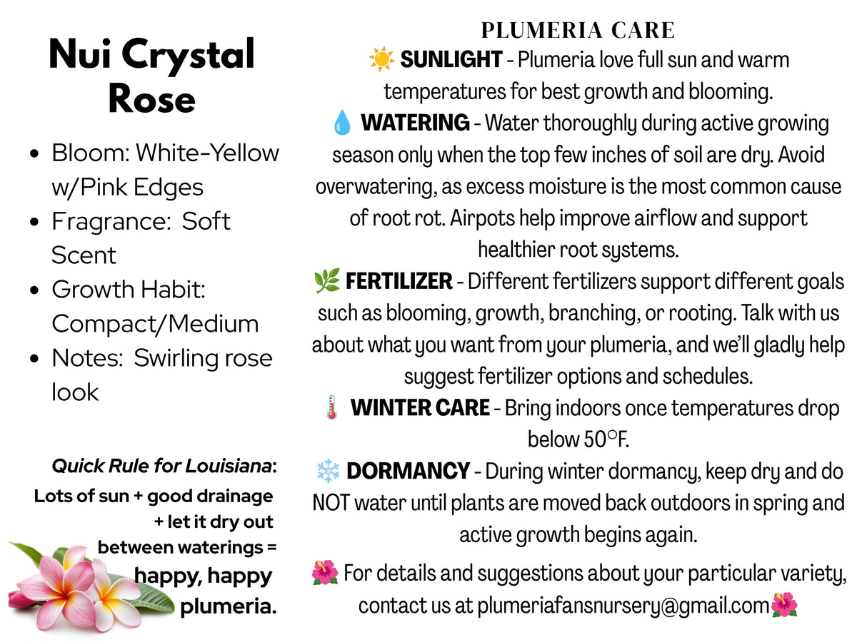 Nui Crystal Rose