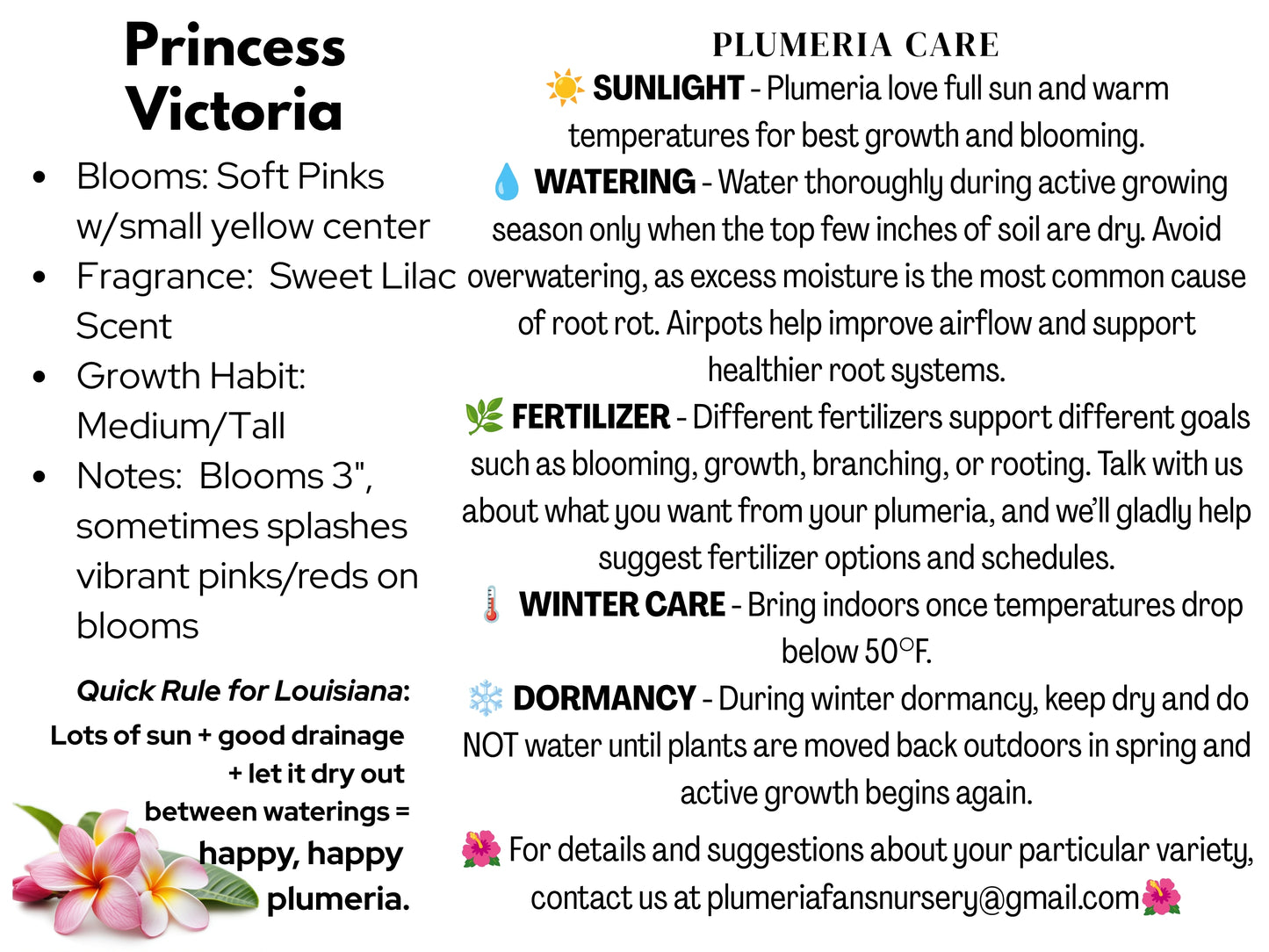 Princess Victoria Plumeria