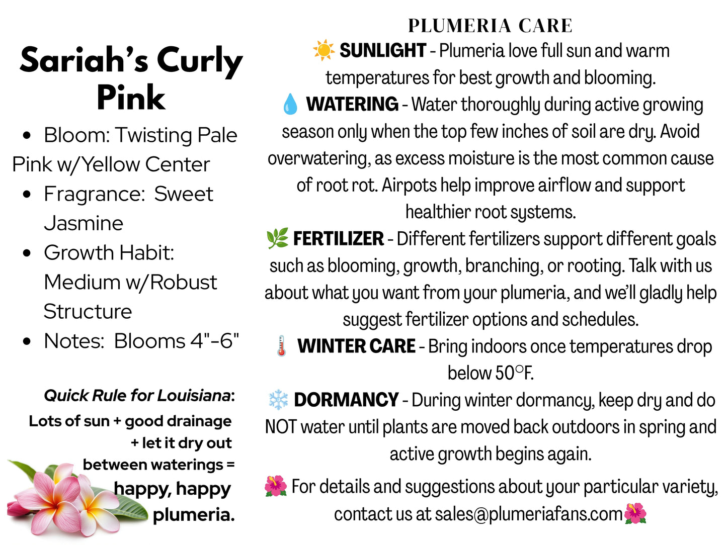 Sariah's Curly Pink