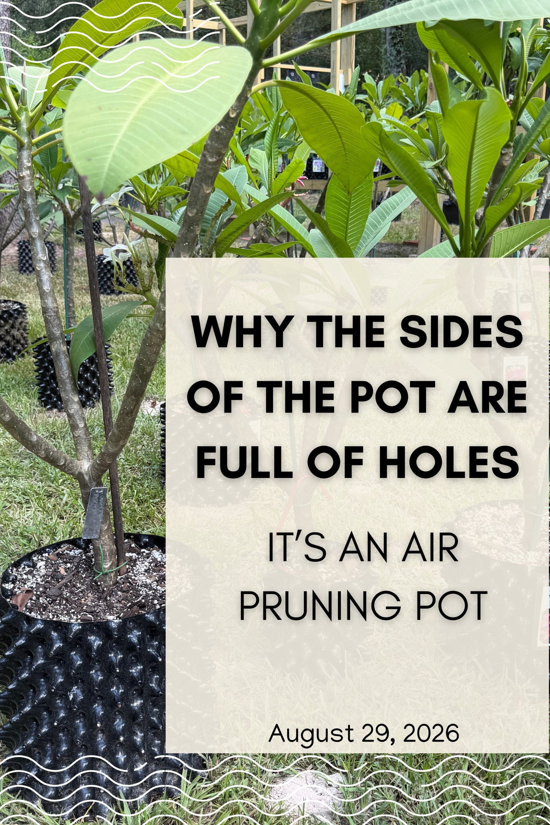 Why the Sides of the Pot Are Full of Holes