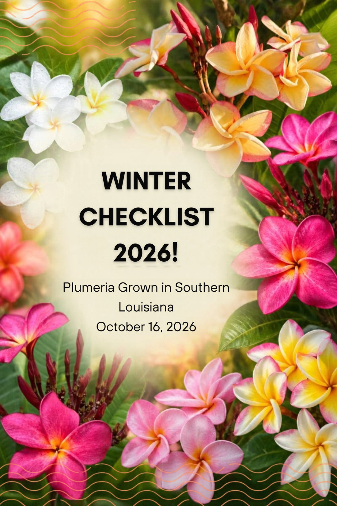 Winter Checklist for Plumeria Grown in Southern Louisiana
