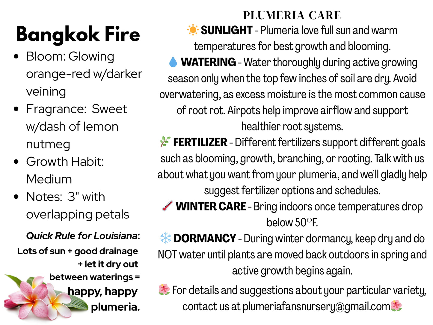 Bangkok Fire Plumeria