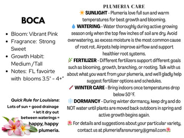 Boca Plumeria