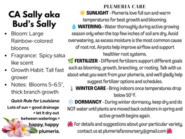 CA Sally akak Bud's Sally Plumeria