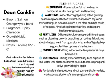 Dean Conklin Plumeria