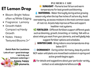 ET Lemondrop