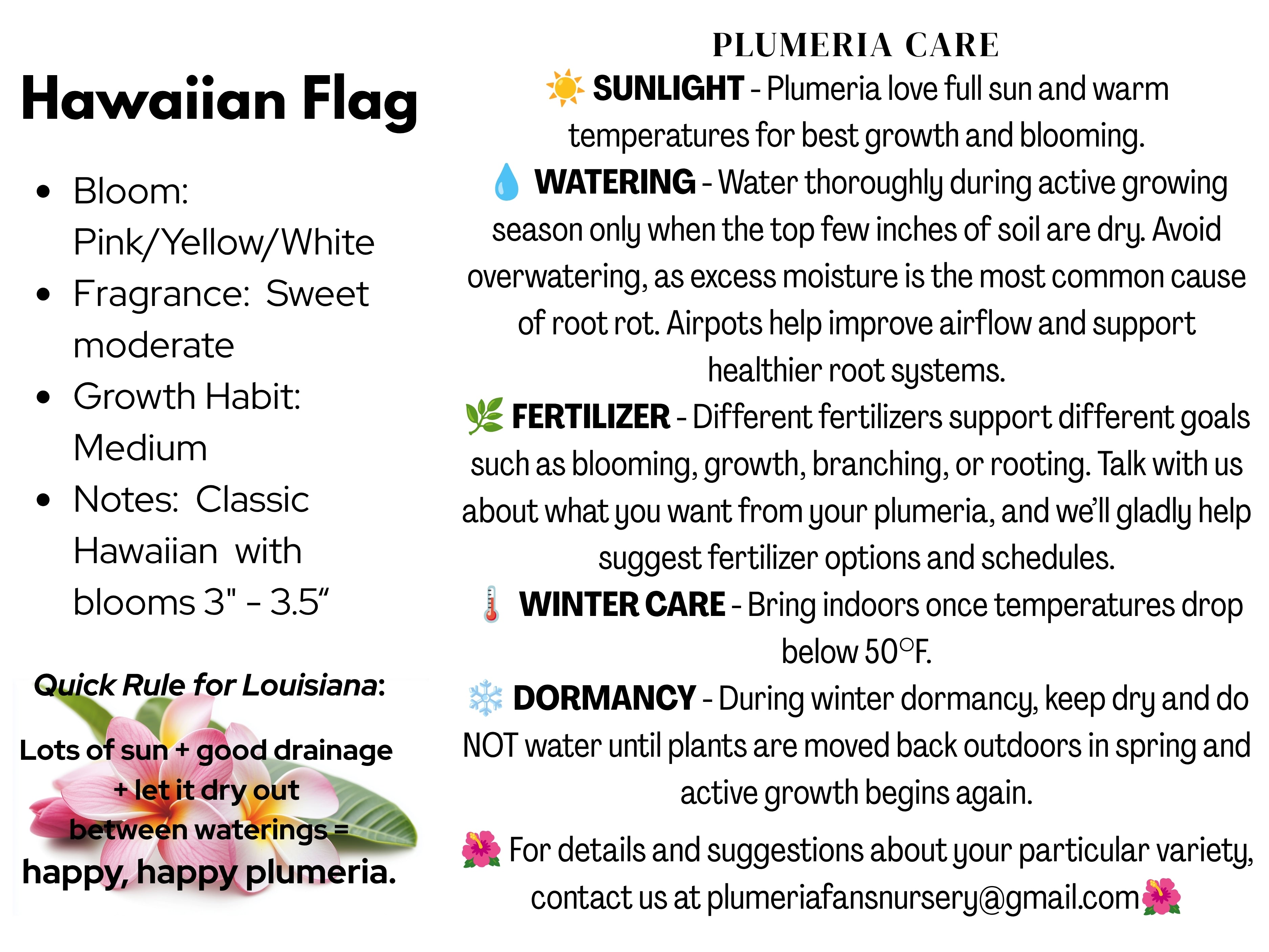Hawaiian Flag Plumeria