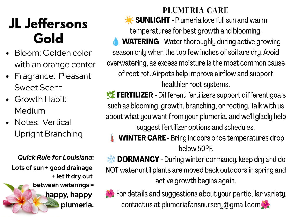 JL Jefferson's Gold Plumeria