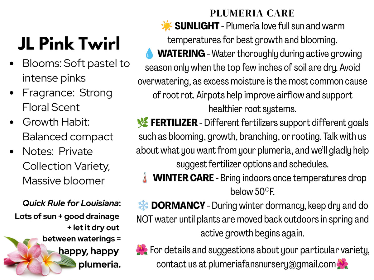 JL Pink Twirl Plumeria