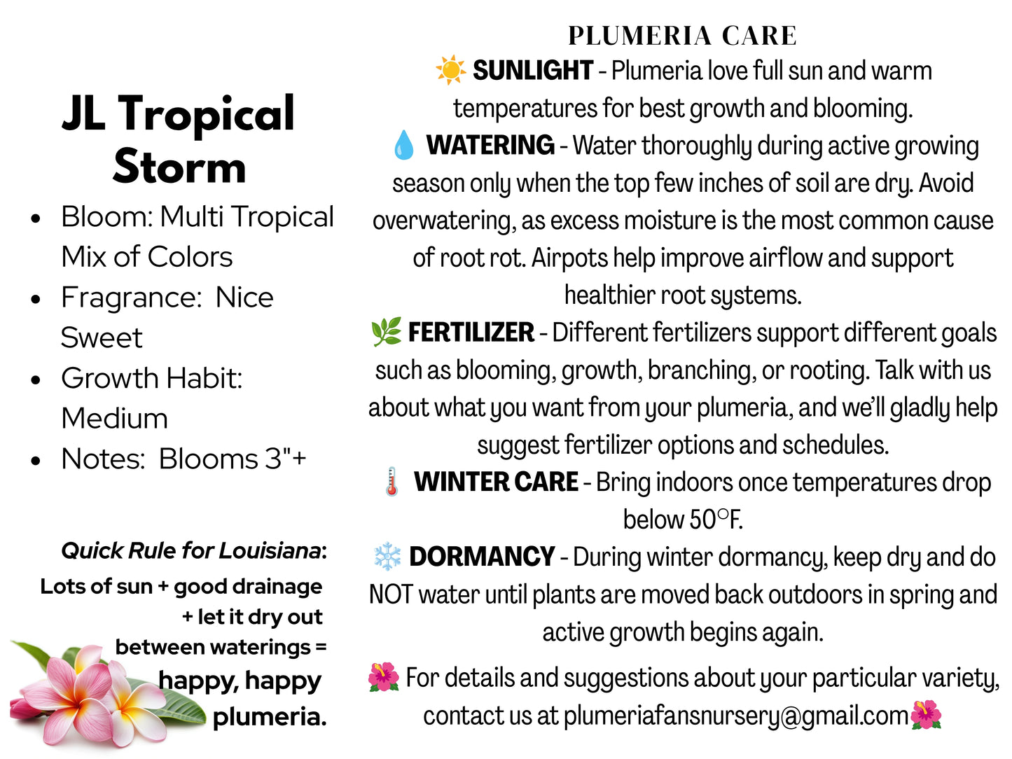 JL Tropical Storm Plumeria