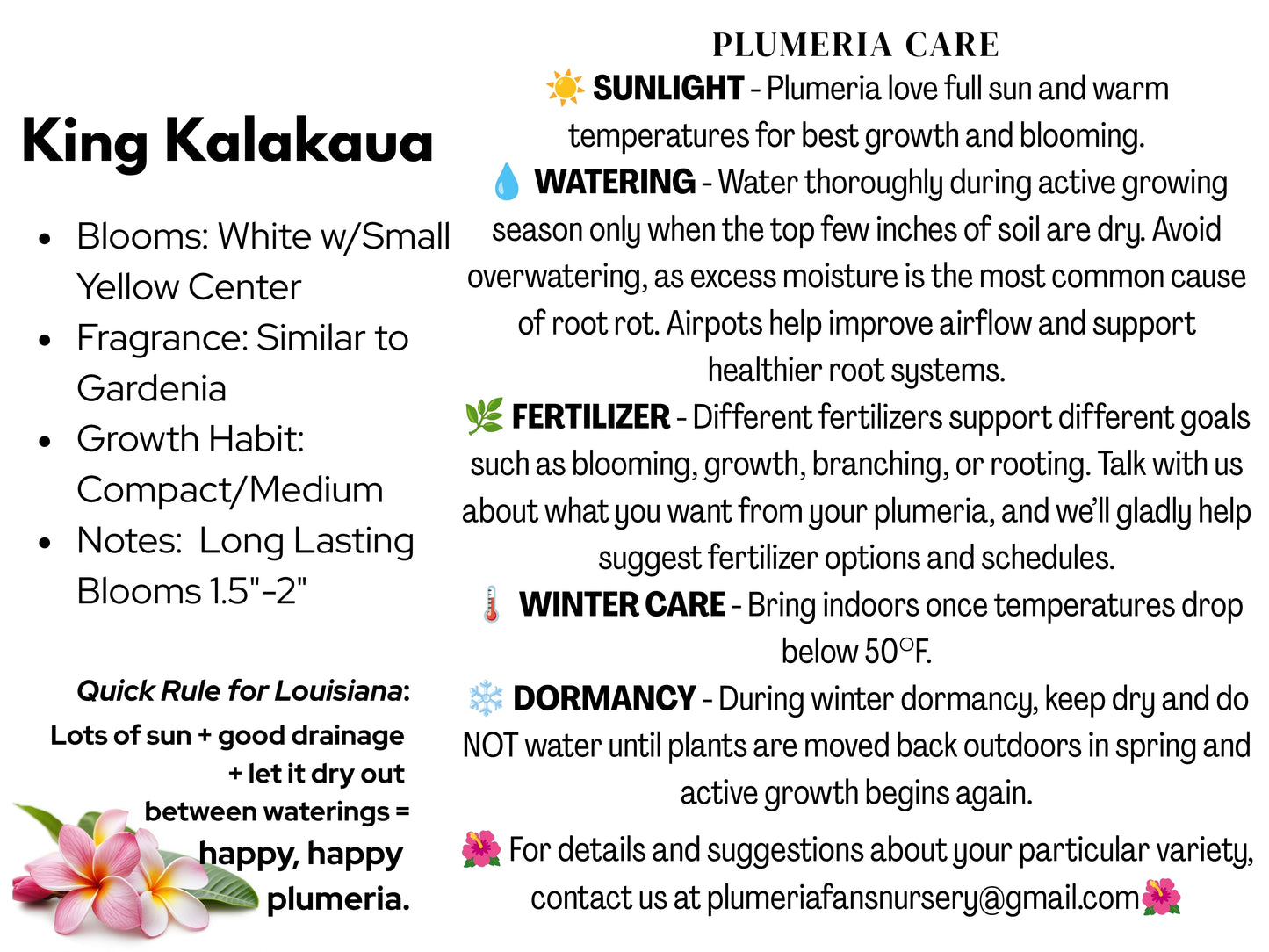King Kalakaua Plumeria