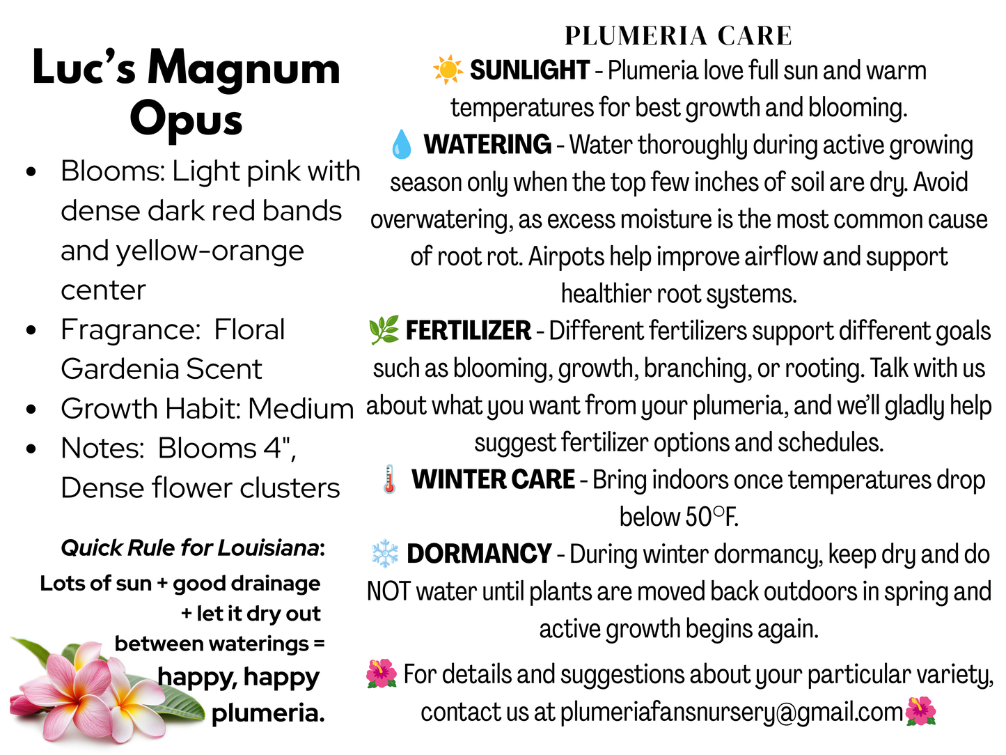 Luc's Magnum Opus Plumeria