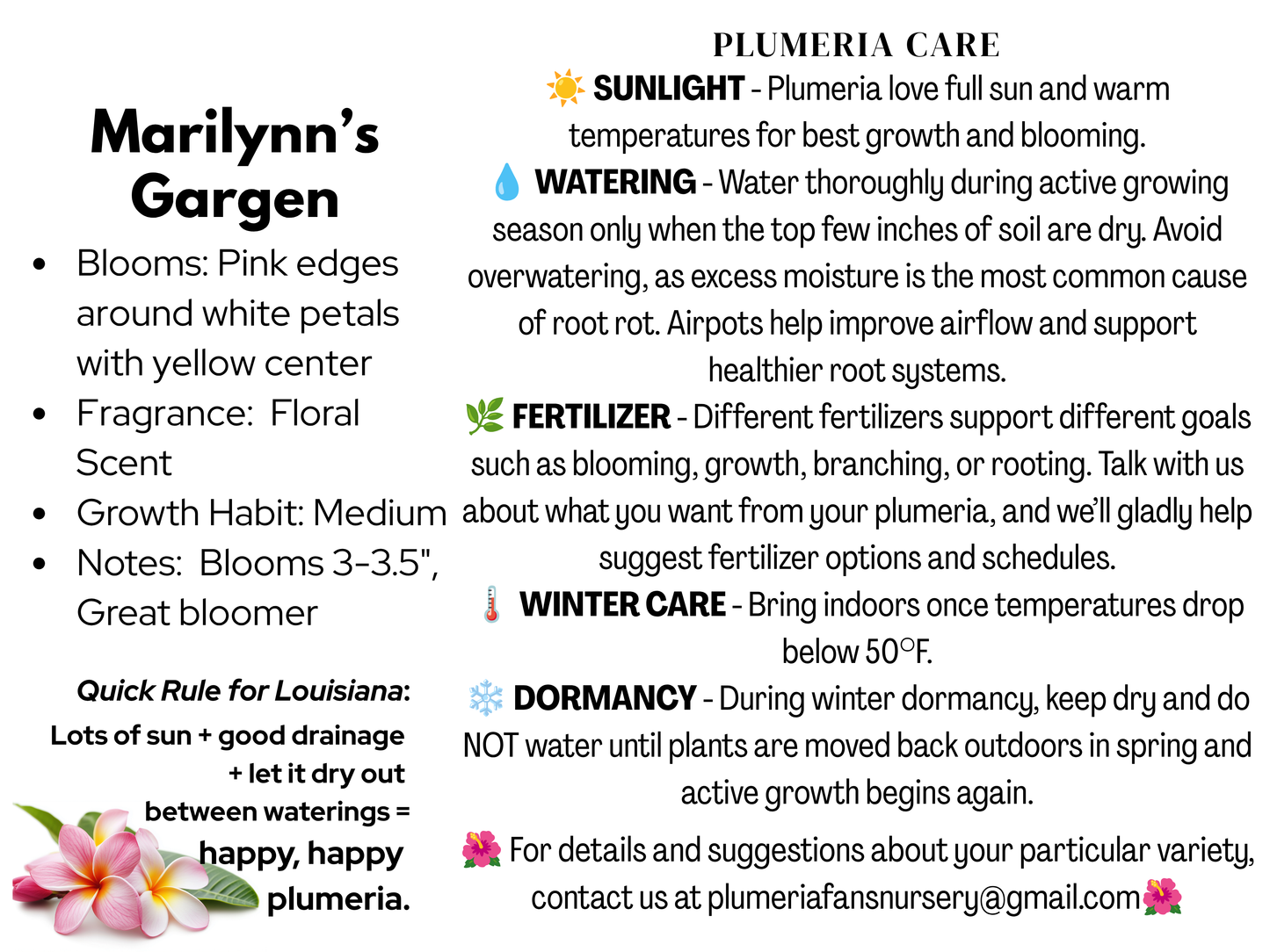 Marilyn's Garden Plumeria