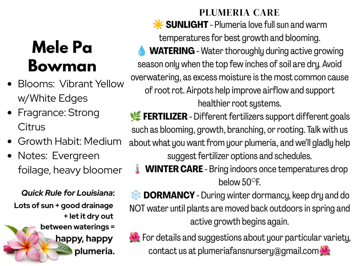 Mele Pa Bowman Plumeria