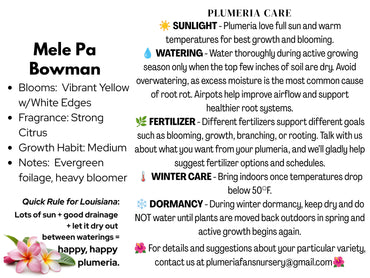 Mele Pa Bowman Plumeria