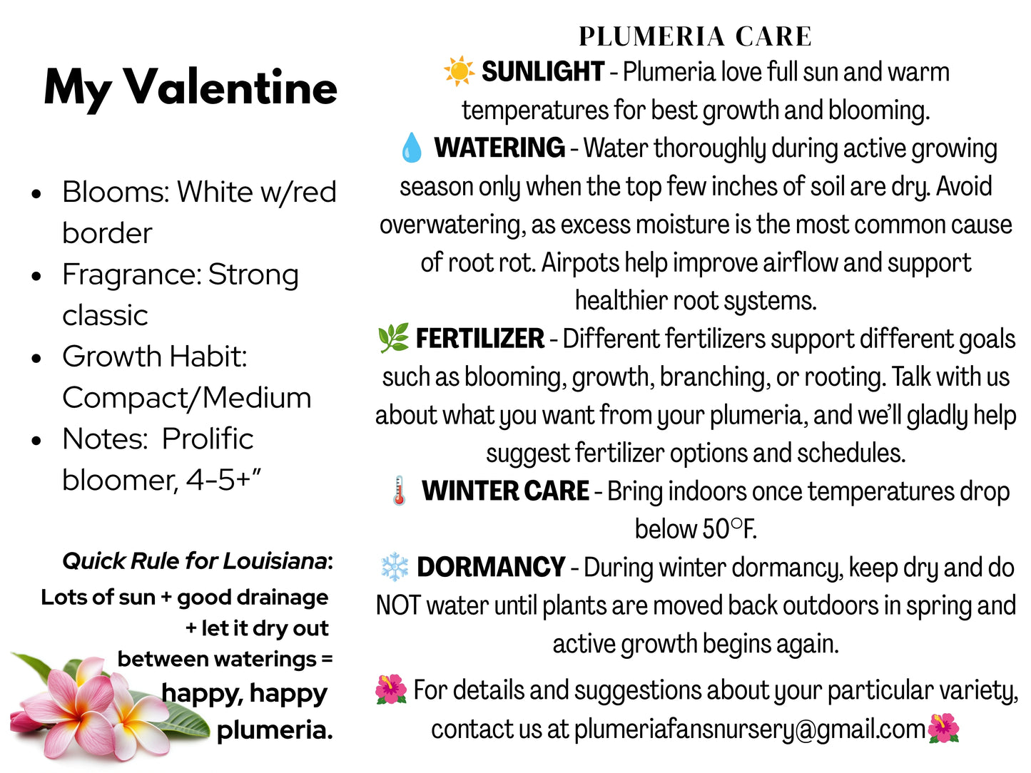 My Valentine Plumeria