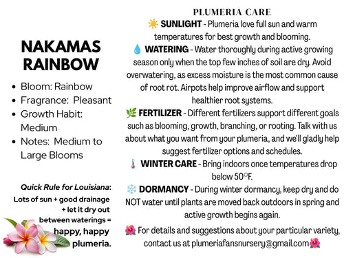 Nakamas Rainbow Plumeria