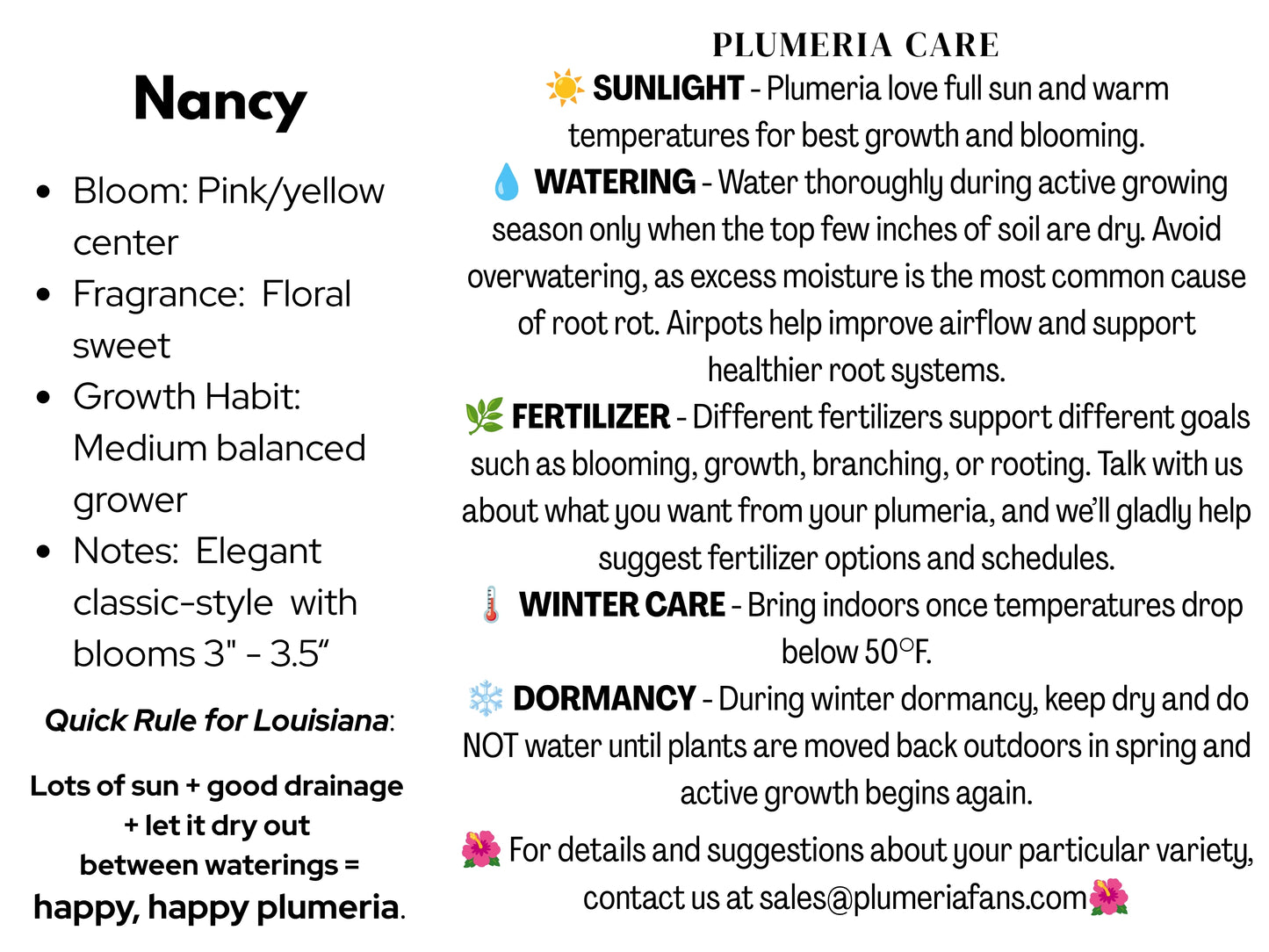 Nancy Plumeria
