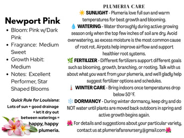 Newport Pink