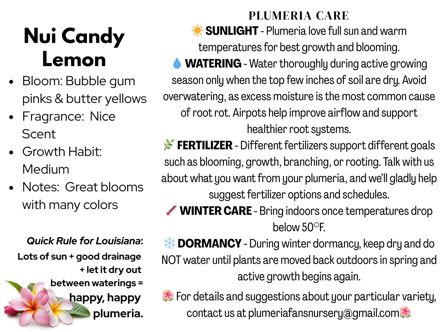 Nui Candy Lemon