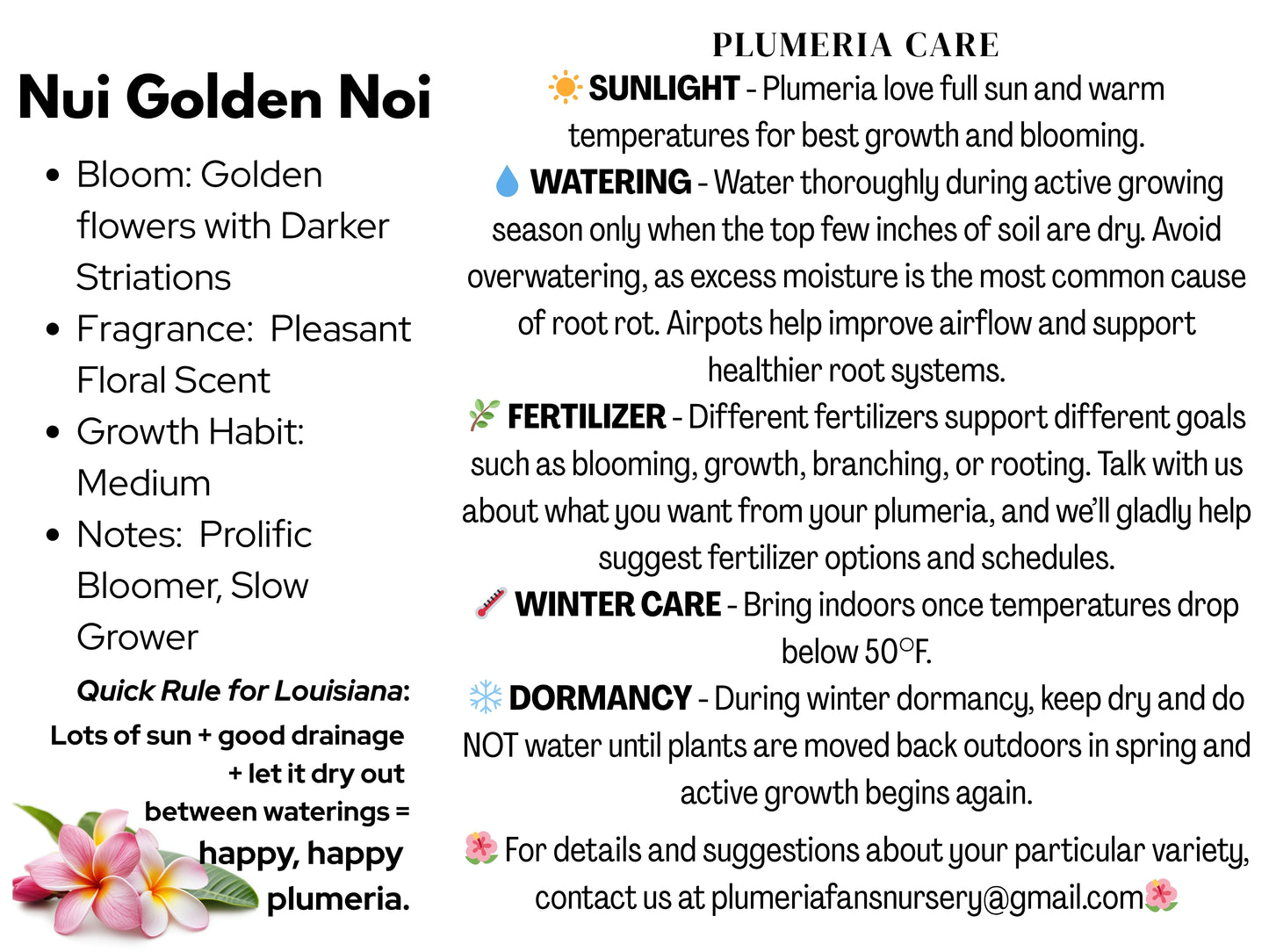 Nui Golden Noi