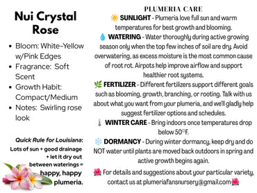 Nui Crystal Rose