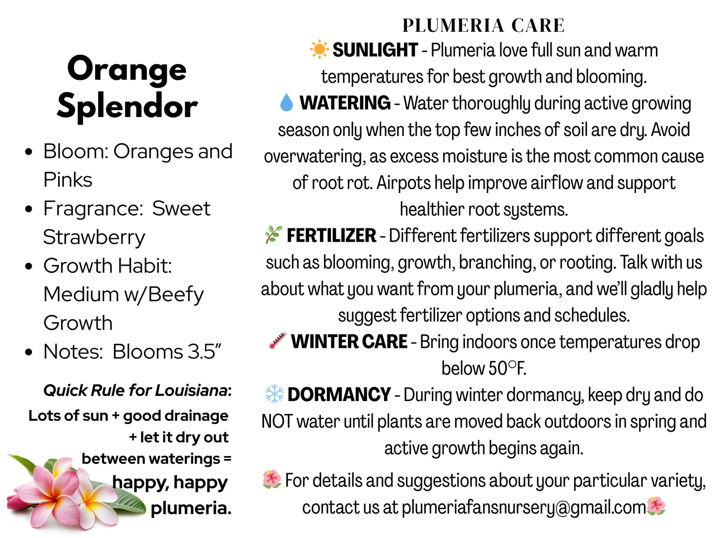 Orange Splendor Plumeria