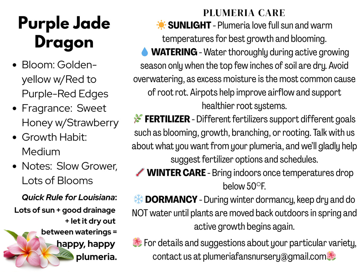 Purple Jade Dragon